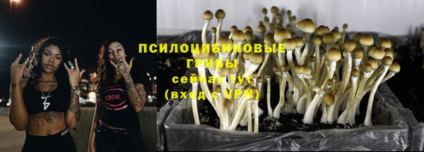альфа пвп Верхний Тагил