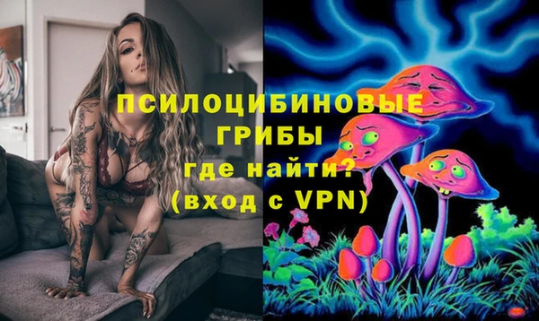ПСИЛОЦИБИНОВЫЕ ГРИБЫ Верея