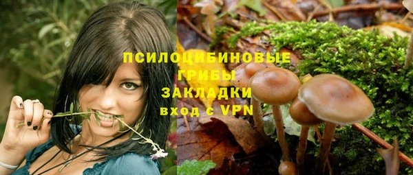 ПСИЛОЦИБИНОВЫЕ ГРИБЫ Верея