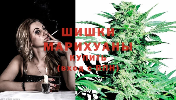 ПСИЛОЦИБИНОВЫЕ ГРИБЫ Верея