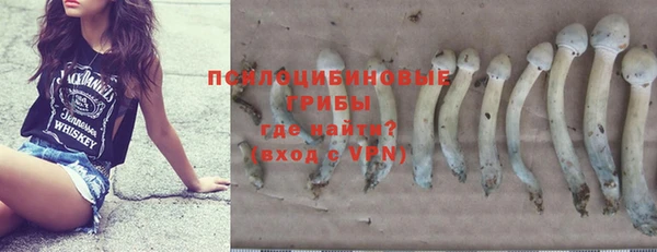 ПСИЛОЦИБИНОВЫЕ ГРИБЫ Верея