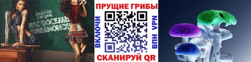 Галлюциногенные грибы GOLDEN TEACHER  Островной 